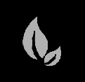 Floristerias para comprar plantas y flores naturales en Aranda de Duero. Plantas naturales. Flores naturales. Centros de flores. Ramos. Plantas de interior y exoticas. Jarrones para plantas, maceteros, vasijas, macetas. Plantas para el jardin. Plantas de jardineria. Ramos de rosas, envio de flores a todo el mundo, Ramos de flores a domicilio en Aranda de Duero, Ribera del Duero, Burgos