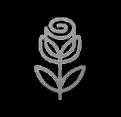 Floristerias para comprar plantas y flores naturales en Aranda de Duero. Plantas naturales. Flores naturales. Centros de flores. Ramos. Plantas de interior y exoticas. Jarrones para plantas, maceteros, vasijas, macetas. Plantas para el jardin. Plantas de jardineria. Ramos de rosas, envio de flores a todo el mundo, Ramos de flores a domicilio en Aranda de Duero, Ribera del Duero, Burgos