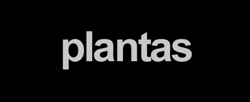 Flores y plantas naturales en Aranda de Duero, Flores y plantas para jardineria. Plantas para el jardin, Flores para el jardin, Floristeria La Floreria en Aranda de Duero, Ribera del Duero, Burgos Flores y plantas naturales en Aranda de Duero, Flores y plantas para jardineria. Plantas para el jardin, Flores para el jardin, Floristeria La Floreria en Aranda de Duero, Ribera del Duero, Burgos