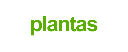 Plantas huerta, plantones, semillero, arbustos de frutas del bosque, fresas, fresones, acigüembres, grosellas, moreras, frambuesas, plantas para el jardin ornamentales, parras en Puentedey, Villarcayo, Las Merindades, Burgos, Bilbao, Bizkaia, Santander, Cantabria Plantas huerta, plantones, semillero, arbustos de frutas del bosque, fresas, fresones, acigüembres, grosellas, moreras, frambuesas, plantas para el jardin ornamentales, parras en Puentedey, Villarcayo, Las Merindades, Burgos, Bilbao, Bizkaia, Santander, Cantabria
