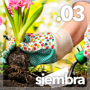 Siembra y resiembra de plantas para la jardineria, la huerta y el cultivo. Plantas ornamentales, árboles frutales, de sombra y ornamentales en Medina de Pomar, Las Merindades. Burgos